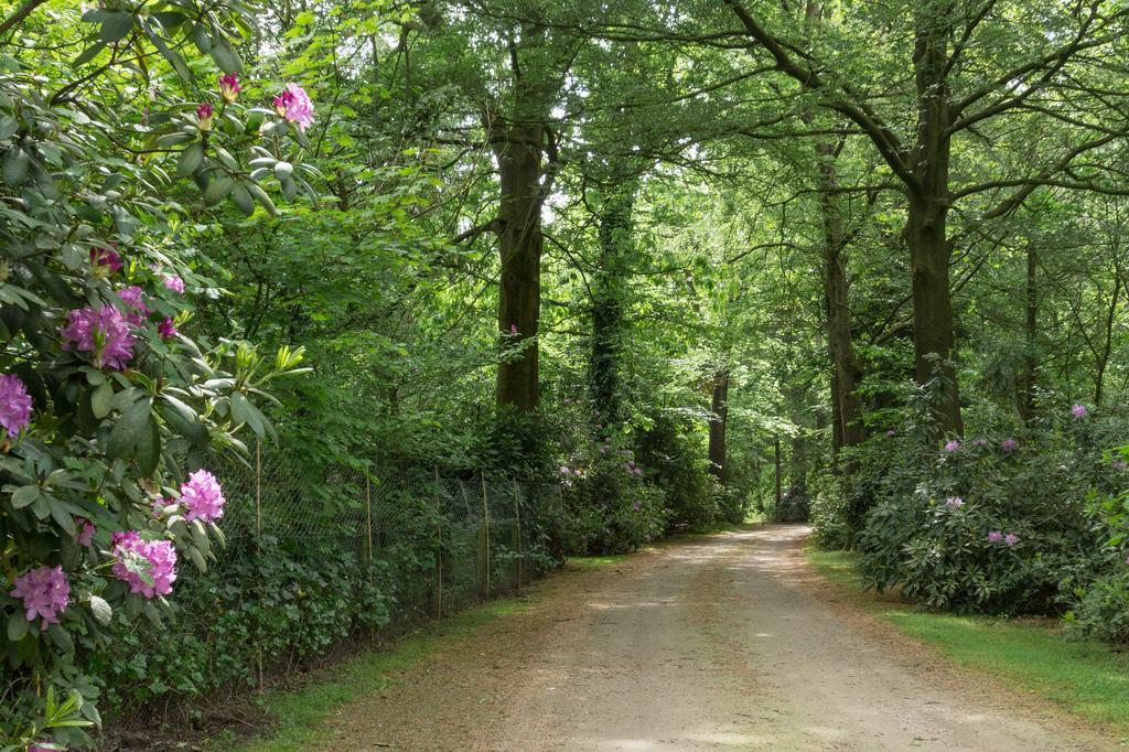 Bungalowpark Vogelenzang Villa Lage Mierde Kültér fotó