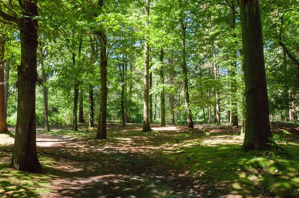 Bungalowpark Vogelenzang Villa Lage Mierde Kültér fotó