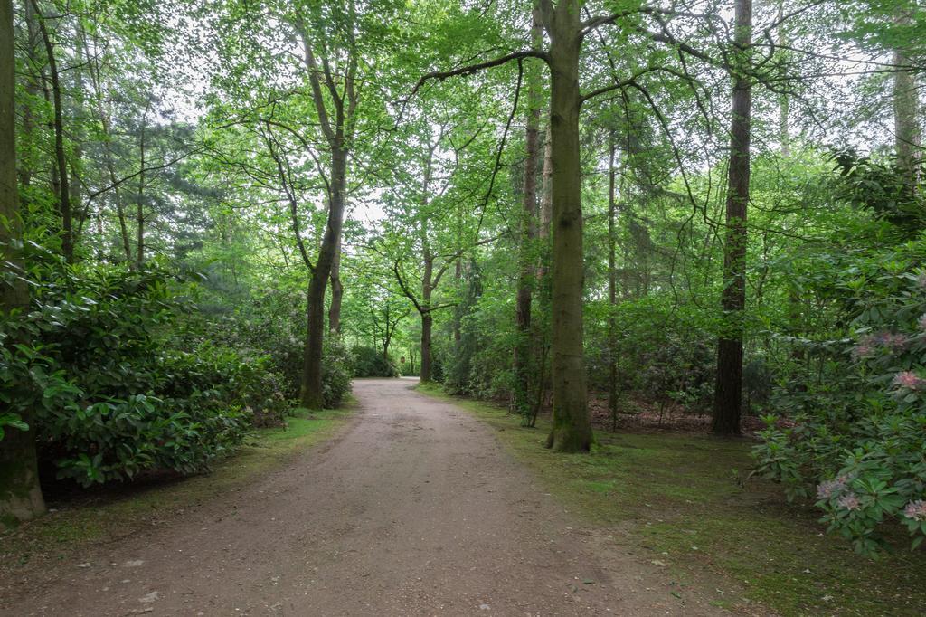 Bungalowpark Vogelenzang Villa Lage Mierde Kültér fotó